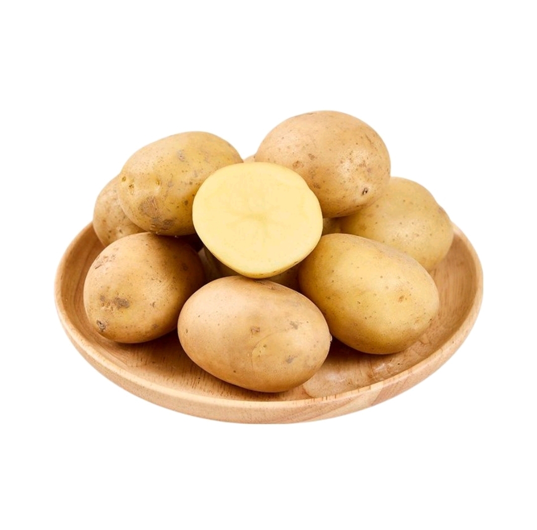 很多土豆10000额度